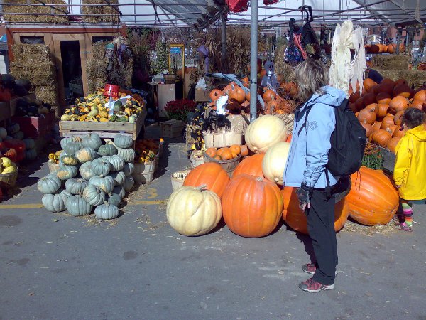 Die Flora drängt zu Halloween...